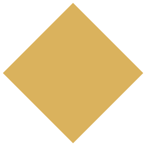 Diamond Icon 1